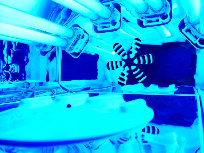 УФ лампа MД-3608